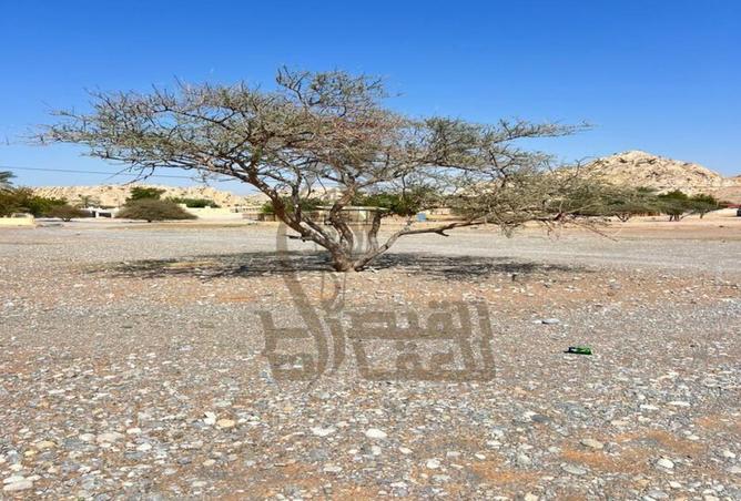 16335902 - الصورة الرئيسية للعقار