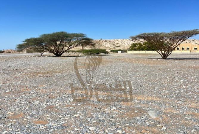 16335902 - صورة العقار 2