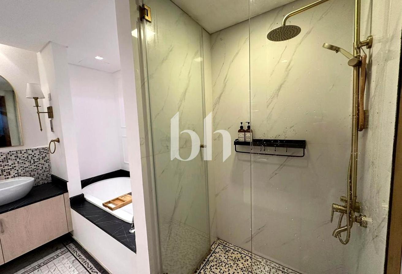 Huge Terrace | Furnished | Available photo 15