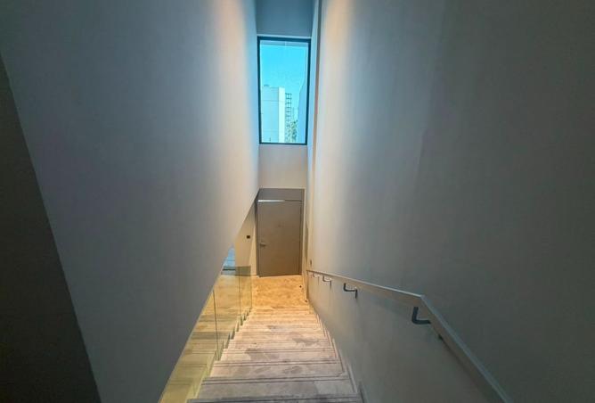 117275165 - Property Image 3