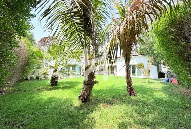 131561036 - Property Image 3