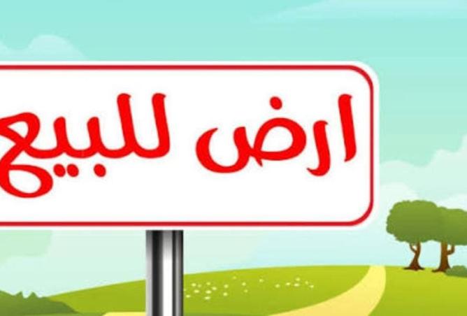 16163565 - Property Image 3