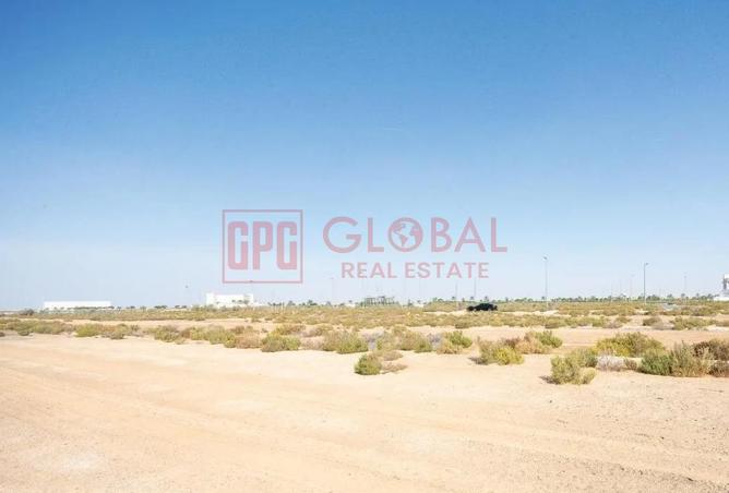 16141549 - Property Image 3