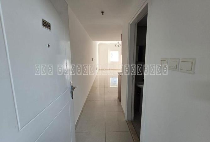 116355172 - Property Image 3