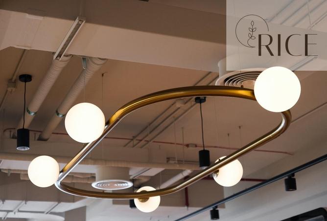 113705532 - Property Image 2