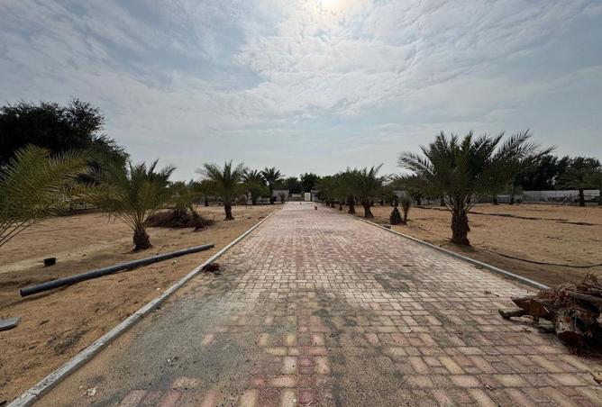 61675505 - صورة العقار 2