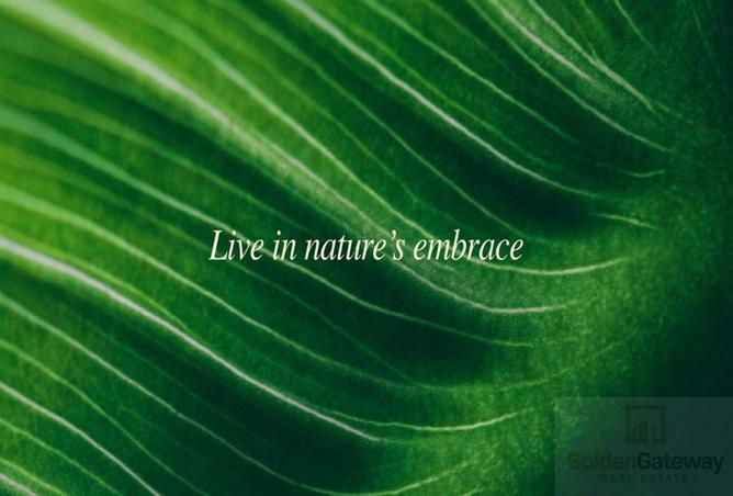 16202309 - صورة العقار 2