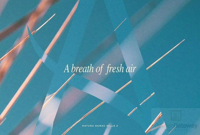 16202309 - صورة العقار 3