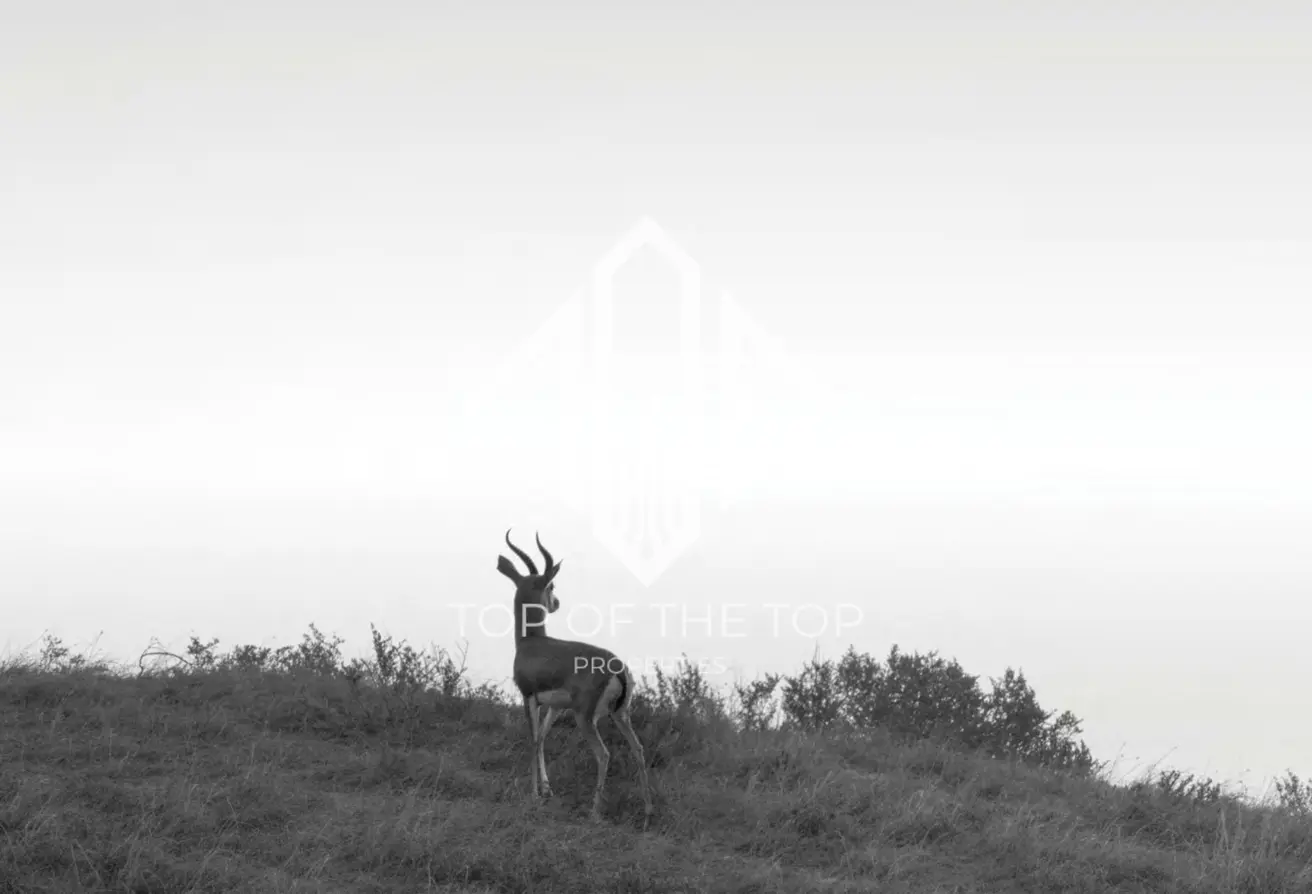 152842092 - Property Main Image