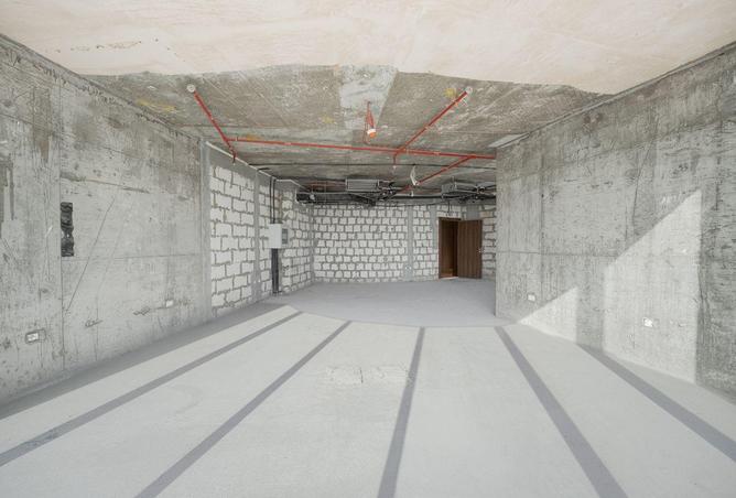 16255121 - Property Image 2