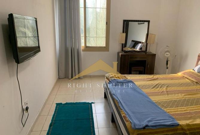 16243968 - Property Image 3