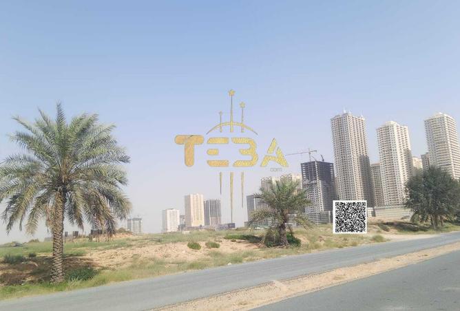 54397159 - Property Image 3