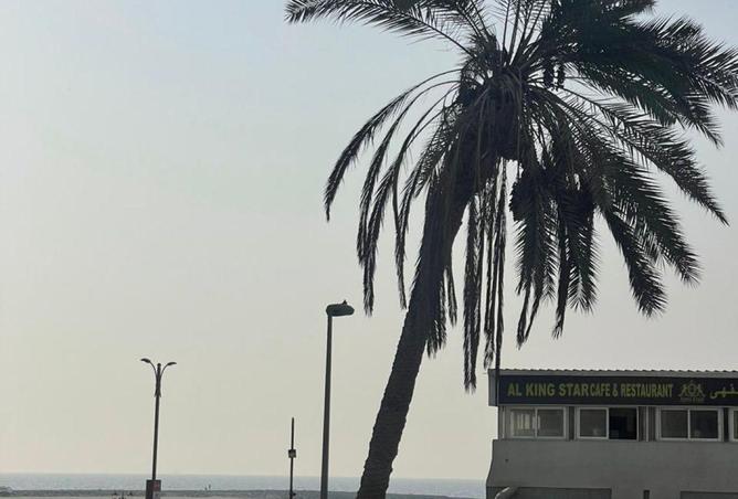 16264492 - صورة العقار 3