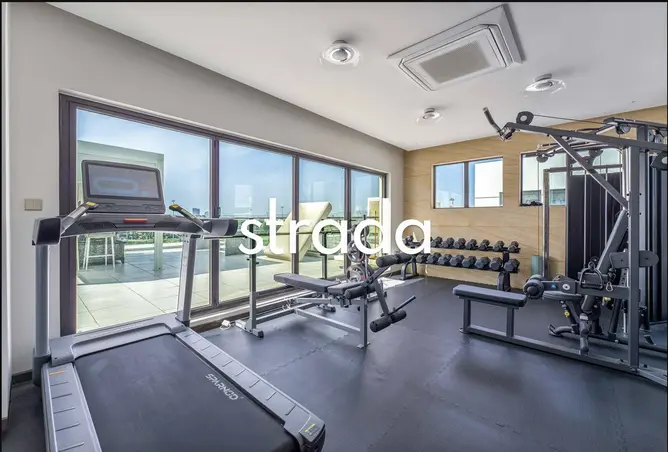 158222171 - Property Image 3