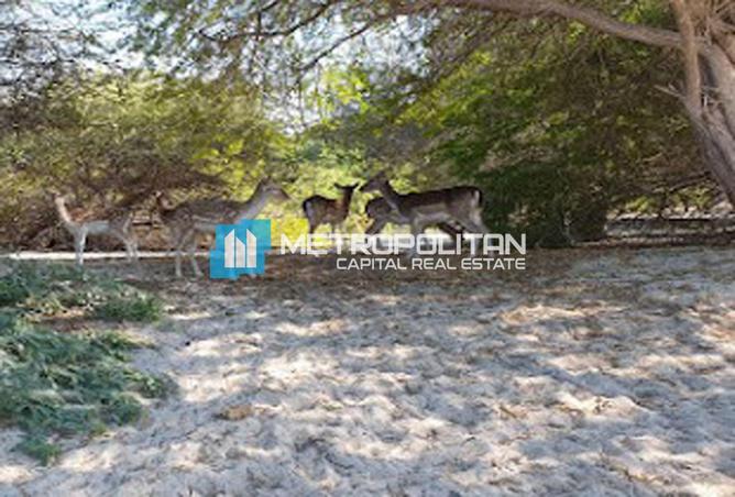 53180358 - صورة العقار 3