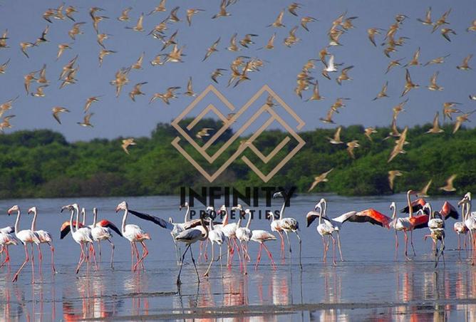 63641215 - صورة العقار 3