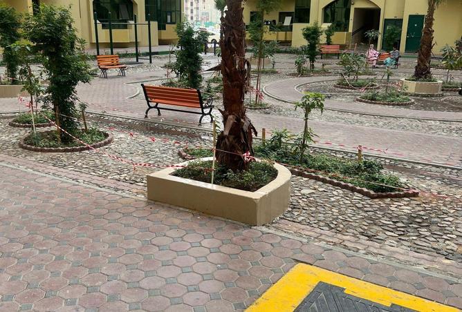 16198035 - صورة العقار 2