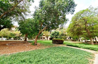 Apartment - 2 - 3 for rent in Shakespeare Circus 3 - Shakespeare Circus - Motor City - Dubai