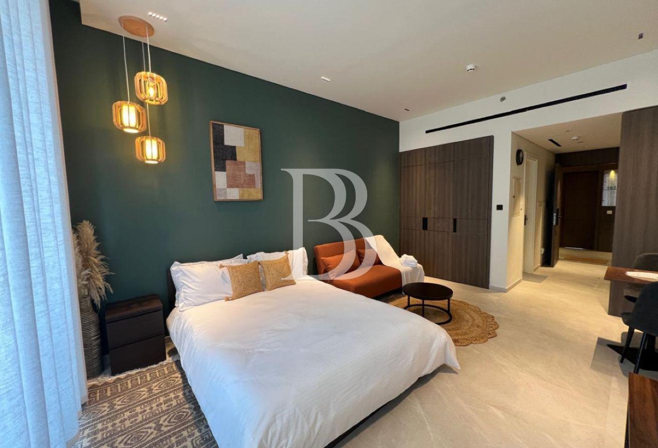 Fully Furnished, Spacious Brand New Studio photo 4