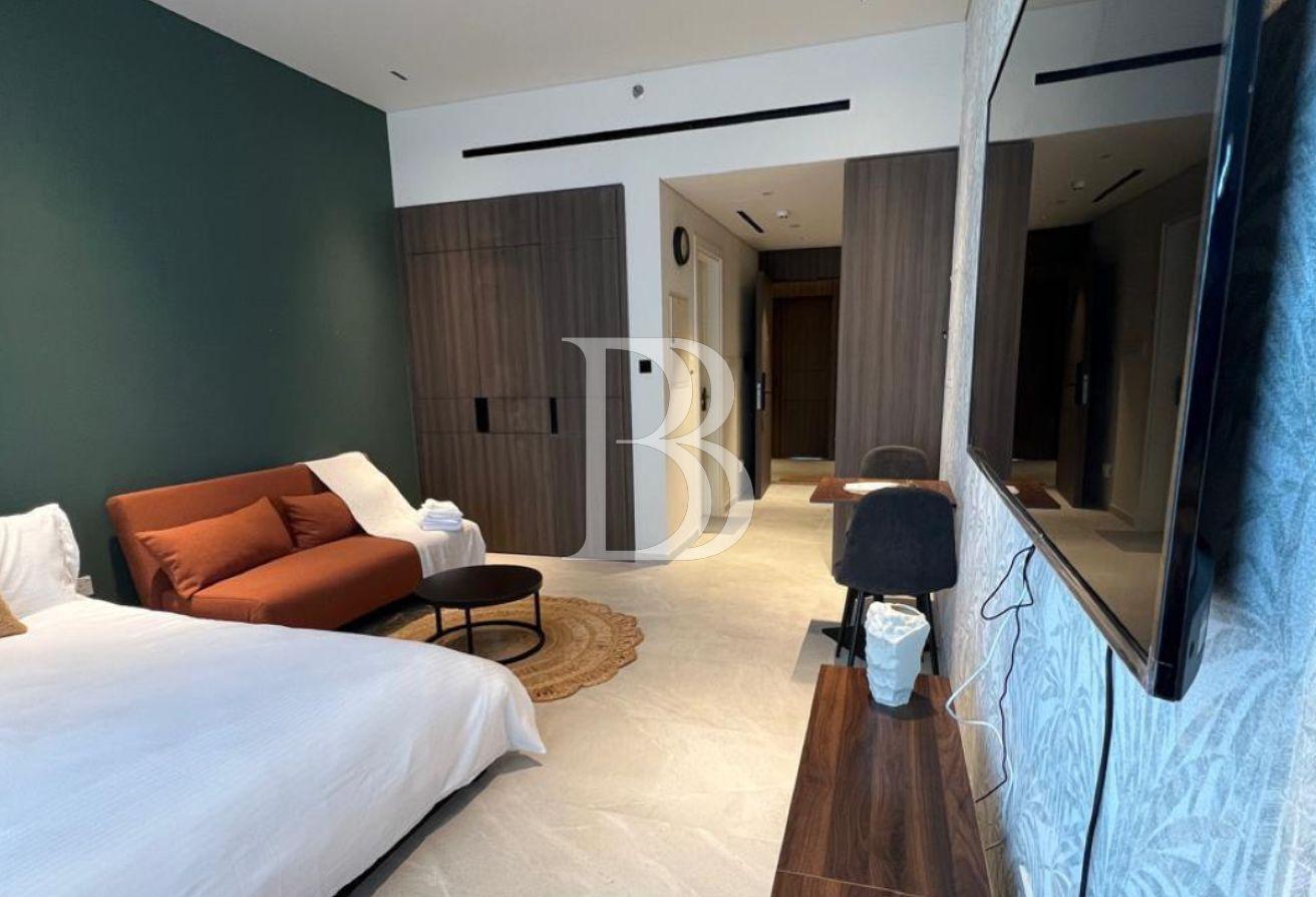 Fully Furnished, Spacious Brand New Studio photo 3