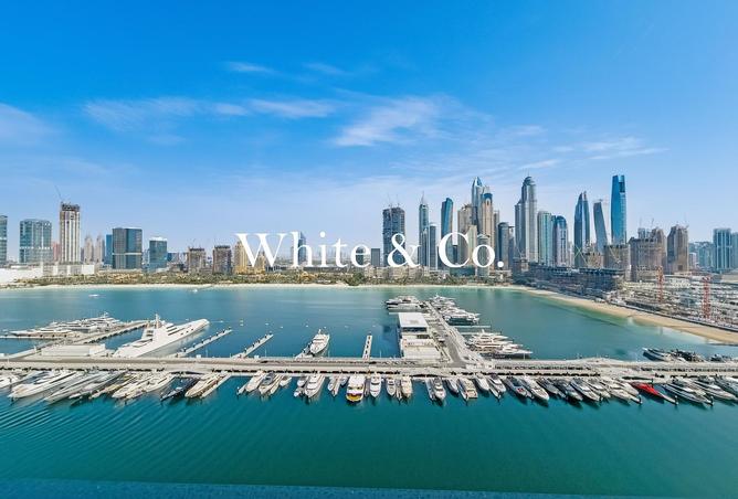 91812323 - الصورة الرئيسية للعقار
