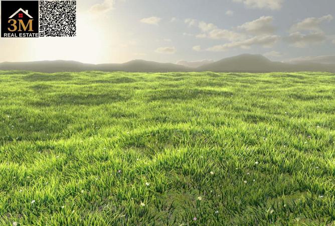 71466304 - Property Image 3