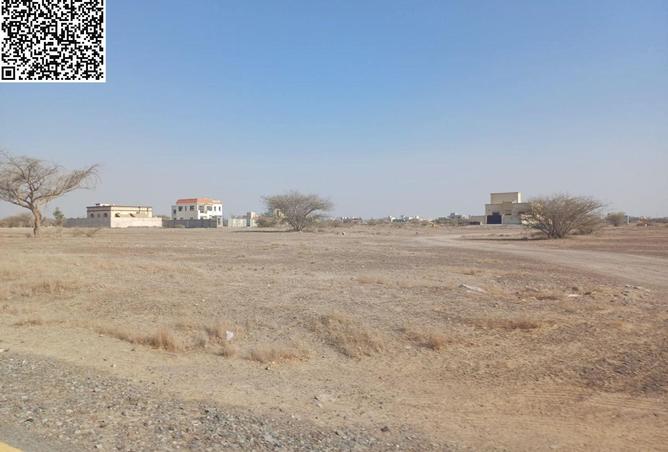 16254281 - Property Image 3