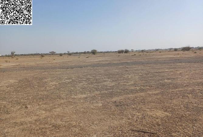 16254281 - Property Image 2