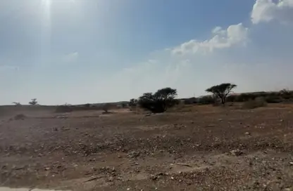 Land - Studio for sale in Masfoot 8 - Masfoot - Ajman