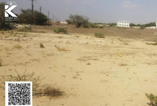 16241024 - Property Image 2