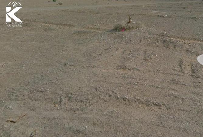 16241024 - Property Image 3