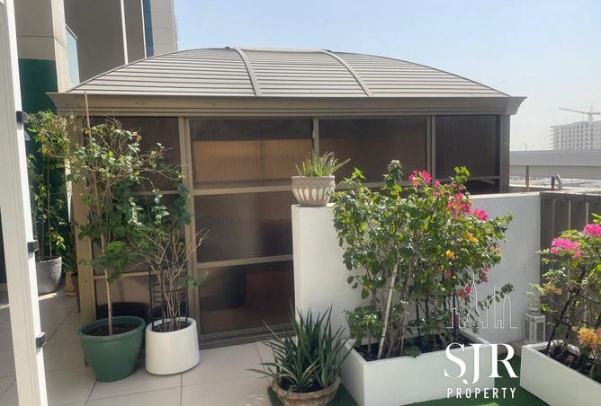 126105513 - Property Image 3