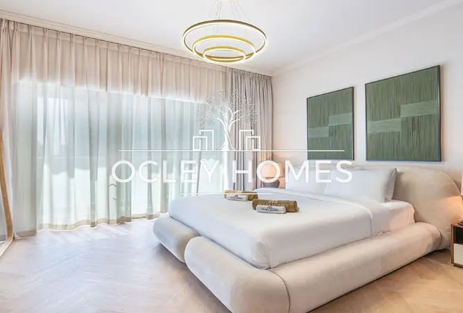 163705382 - Property Image 2