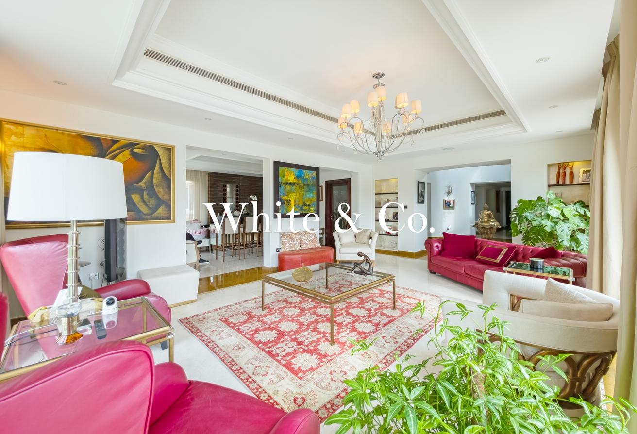 Incredible Plot | Type A1 | Available Now photo 19