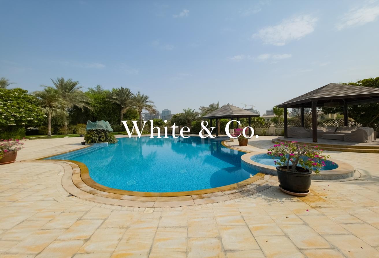 Incredible Plot | Type A1 | Available Now photo 3