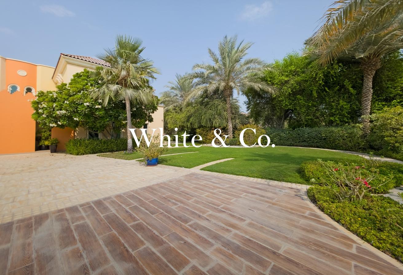 Incredible Plot | Type A1 | Available Now photo 22