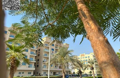شقة - 1 حمام للبيع في قرية الاميرة - الياسمين - عجمان شقة - 1 حمام للبيع في قرية الاميرة - الياسمين - عجمان