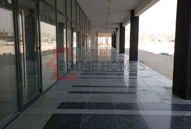 91385938 - صورة العقار 3