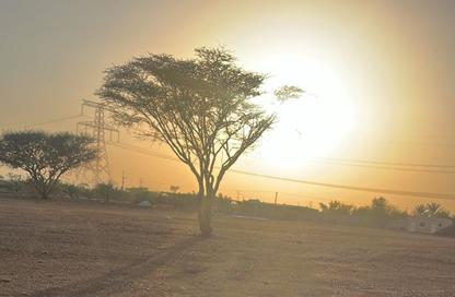 Land - Studio for sale in Manama - Ajman