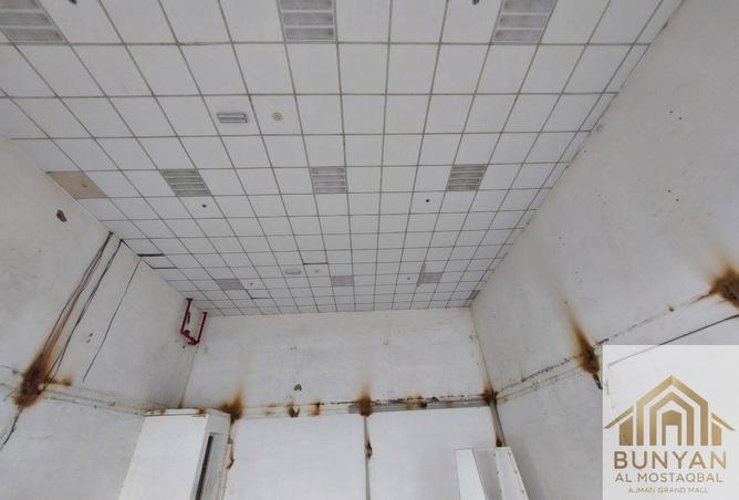 16242032 - Property Image 3