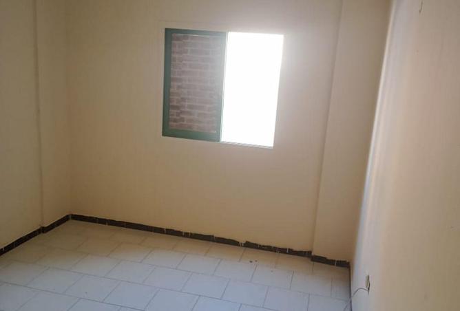 16139496 - Property Image 3