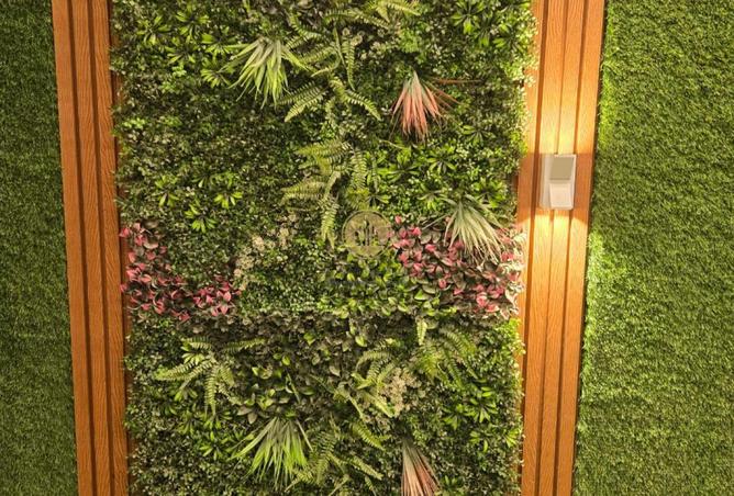 16304525 - صورة العقار 3