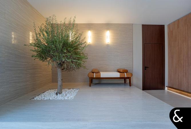 16176873 - صورة العقار 2