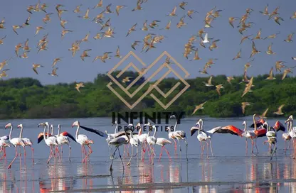 فيلا - 5 غرف نوم - 6 حمامات للبيع في فلل سي سايد - الزورا - عجمان