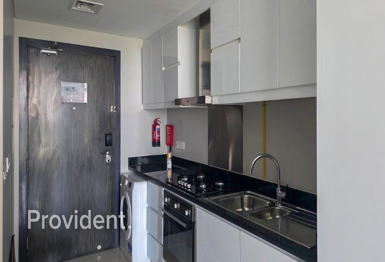 Furnished 1BR | Ready to Move | Community View photo 21