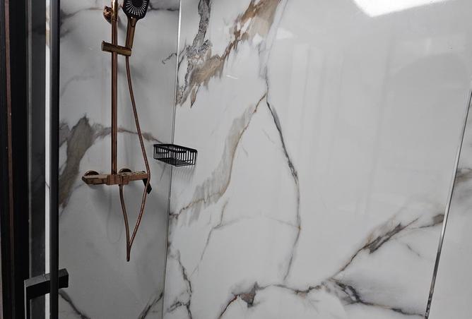 16310661 - Property Image 3