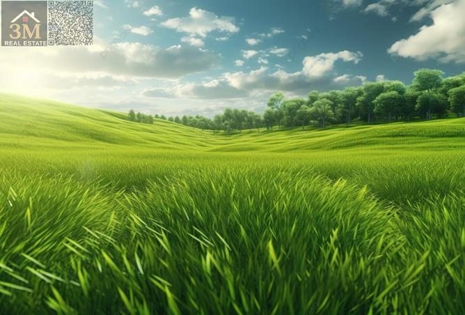 77362944 - Property Image 2