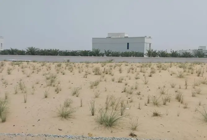 110990087 - صورة العقار 2