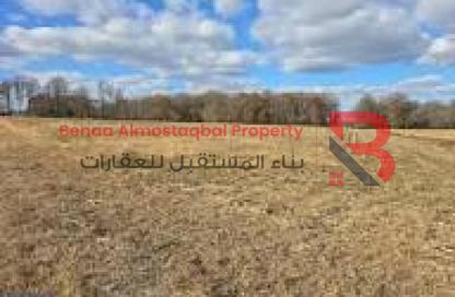 Land - Studio for sale in Al Ameriya - Al Jimi - Al Ain