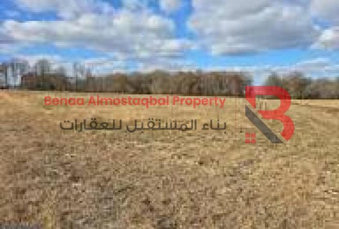90055688 - Property Image 3